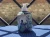 tempImagewymvUD.webp