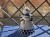 tempImagequywN5.jpg